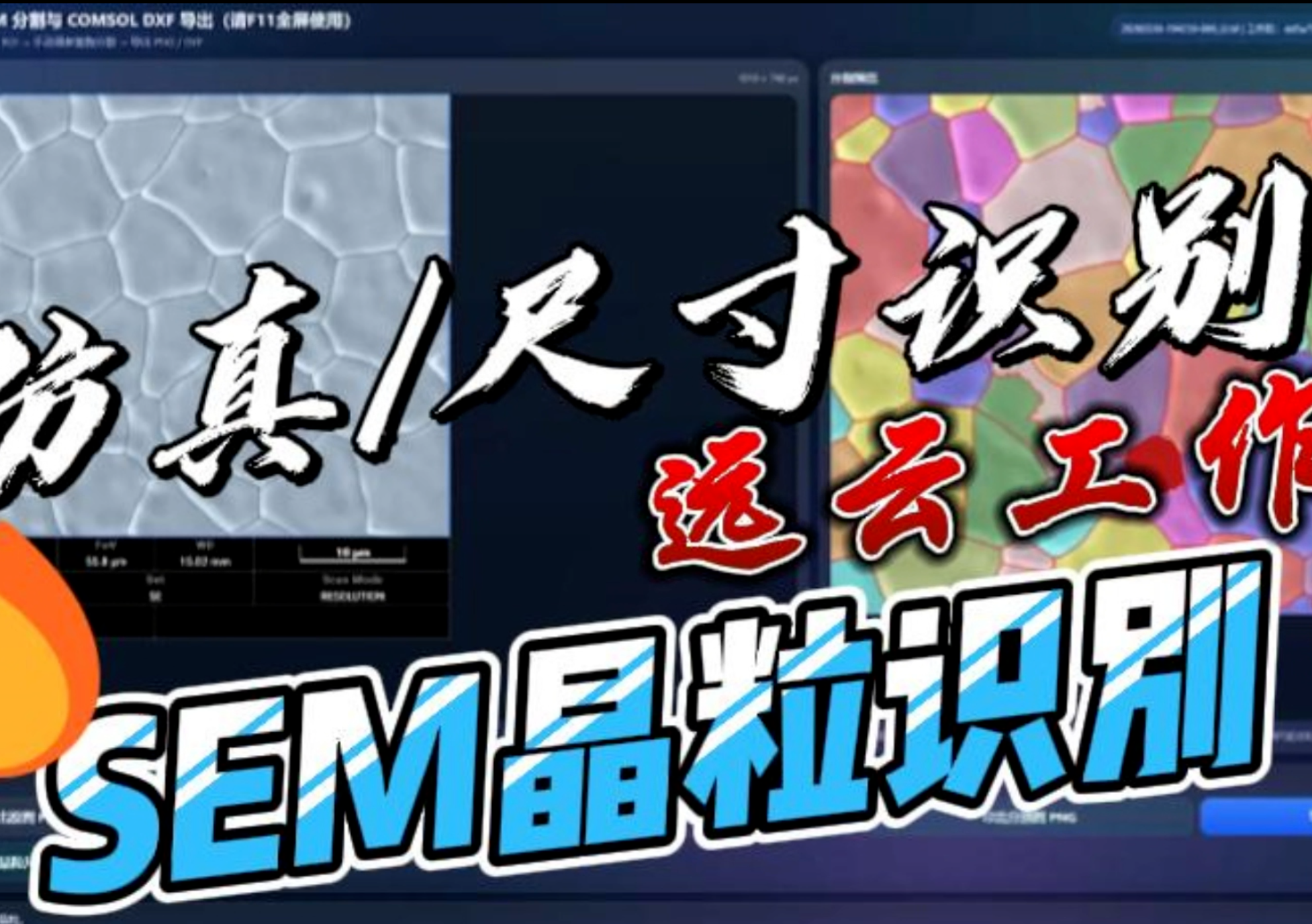 SEM晶粒识别